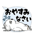 B＆W シーズー犬「大き目文字・吹き出し」（個別スタンプ：40）