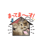 ᵦₑₗₗ²（個別スタンプ：3）