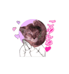 ᵦₑₗₗ²（個別スタンプ：5）