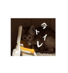 ᵦₑₗₗ²（個別スタンプ：6）