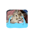 ᵦₑₗₗ²（個別スタンプ：7）