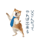 実写父しば犬【連絡・家族】（個別スタンプ：2）