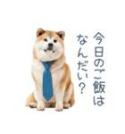 実写父しば犬【連絡・家族】（個別スタンプ：11）