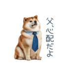 実写父しば犬【連絡・家族】（個別スタンプ：15）