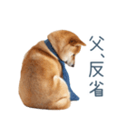 実写父しば犬【連絡・家族】（個別スタンプ：21）