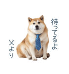 実写父しば犬【連絡・家族】（個別スタンプ：22）