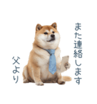 実写父しば犬【連絡・家族】（個別スタンプ：26）