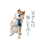 実写父しば犬【連絡・家族】（個別スタンプ：27）