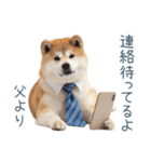 実写父しば犬【連絡・家族】（個別スタンプ：32）