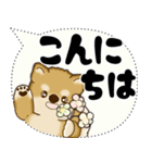 新・柴犬 2025 「大き目文字・吹き出し」（個別スタンプ：2）