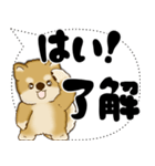 新・柴犬 2025 「大き目文字・吹き出し」（個別スタンプ：3）