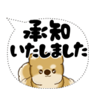 新・柴犬 2025 「大き目文字・吹き出し」（個別スタンプ：4）