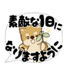 新・柴犬 2025 「大き目文字・吹き出し」（個別スタンプ：6）