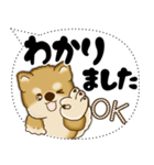 新・柴犬 2025 「大き目文字・吹き出し」（個別スタンプ：7）
