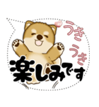 新・柴犬 2025 「大き目文字・吹き出し」（個別スタンプ：8）