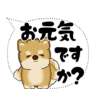 新・柴犬 2025 「大き目文字・吹き出し」（個別スタンプ：9）