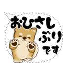 新・柴犬 2025 「大き目文字・吹き出し」（個別スタンプ：10）