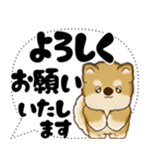 新・柴犬 2025 「大き目文字・吹き出し」（個別スタンプ：11）