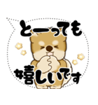 新・柴犬 2025 「大き目文字・吹き出し」（個別スタンプ：12）