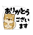 新・柴犬 2025 「大き目文字・吹き出し」（個別スタンプ：15）