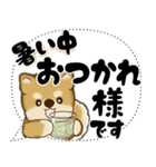 新・柴犬 2025 「大き目文字・吹き出し」（個別スタンプ：17）