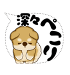新・柴犬 2025 「大き目文字・吹き出し」（個別スタンプ：19）