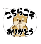 新・柴犬 2025 「大き目文字・吹き出し」（個別スタンプ：20）