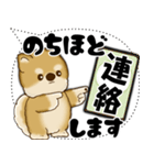 新・柴犬 2025 「大き目文字・吹き出し」（個別スタンプ：22）