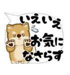 新・柴犬 2025 「大き目文字・吹き出し」（個別スタンプ：23）