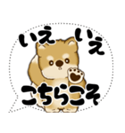 新・柴犬 2025 「大き目文字・吹き出し」（個別スタンプ：24）