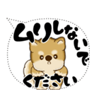 新・柴犬 2025 「大き目文字・吹き出し」（個別スタンプ：26）