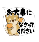 新・柴犬 2025 「大き目文字・吹き出し」（個別スタンプ：32）