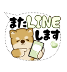 新・柴犬 2025 「大き目文字・吹き出し」（個別スタンプ：35）