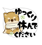新・柴犬 2025 「大き目文字・吹き出し」（個別スタンプ：36）