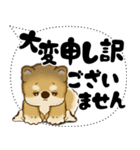 新・柴犬 2025 「大き目文字・吹き出し」（個別スタンプ：37）