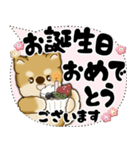 新・柴犬 2025 「大き目文字・吹き出し」（個別スタンプ：38）