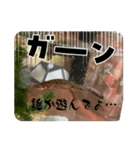 いものすけといもりんスタンプ！（個別スタンプ：5）