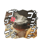 いものすけといもりんスタンプ！（個別スタンプ：6）