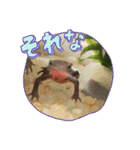 いものすけといもりんスタンプ！（個別スタンプ：16）