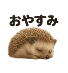 癒し系ハリネズミの眠いラインスタンプ（個別スタンプ：2）
