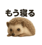 癒し系ハリネズミの眠いラインスタンプ（個別スタンプ：4）