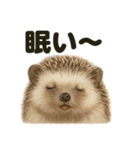 癒し系ハリネズミの眠いラインスタンプ（個別スタンプ：5）