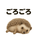 癒し系ハリネズミの眠いラインスタンプ（個別スタンプ：7）
