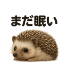 癒し系ハリネズミの眠いラインスタンプ（個別スタンプ：12）