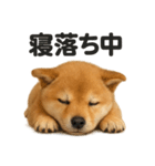 癒し系芝犬のとにかく眠いラインスタンプ（個別スタンプ：6）