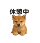 癒し系芝犬のとにかく眠いラインスタンプ（個別スタンプ：8）