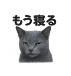 とにかく眠いロシアンブルー猫スタンプ（個別スタンプ：4）