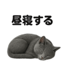 とにかく眠いロシアンブルー猫スタンプ（個別スタンプ：9）