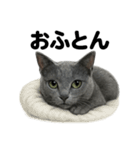 とにかく眠いロシアンブルー猫スタンプ（個別スタンプ：16）