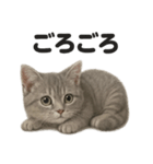 とにかく眠いマンチカン猫スタンプ（個別スタンプ：8）